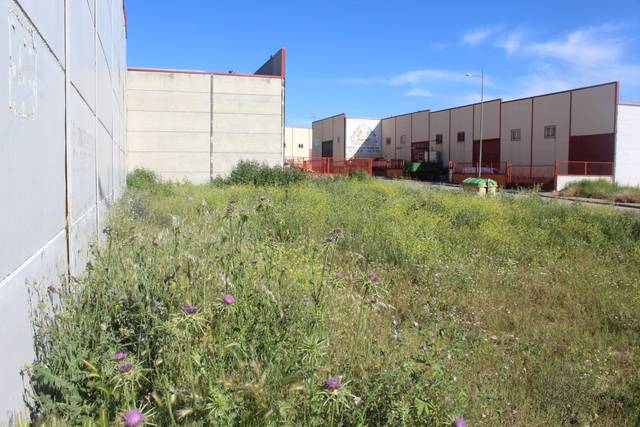 Terreno residencial en Venta en Escalonilla