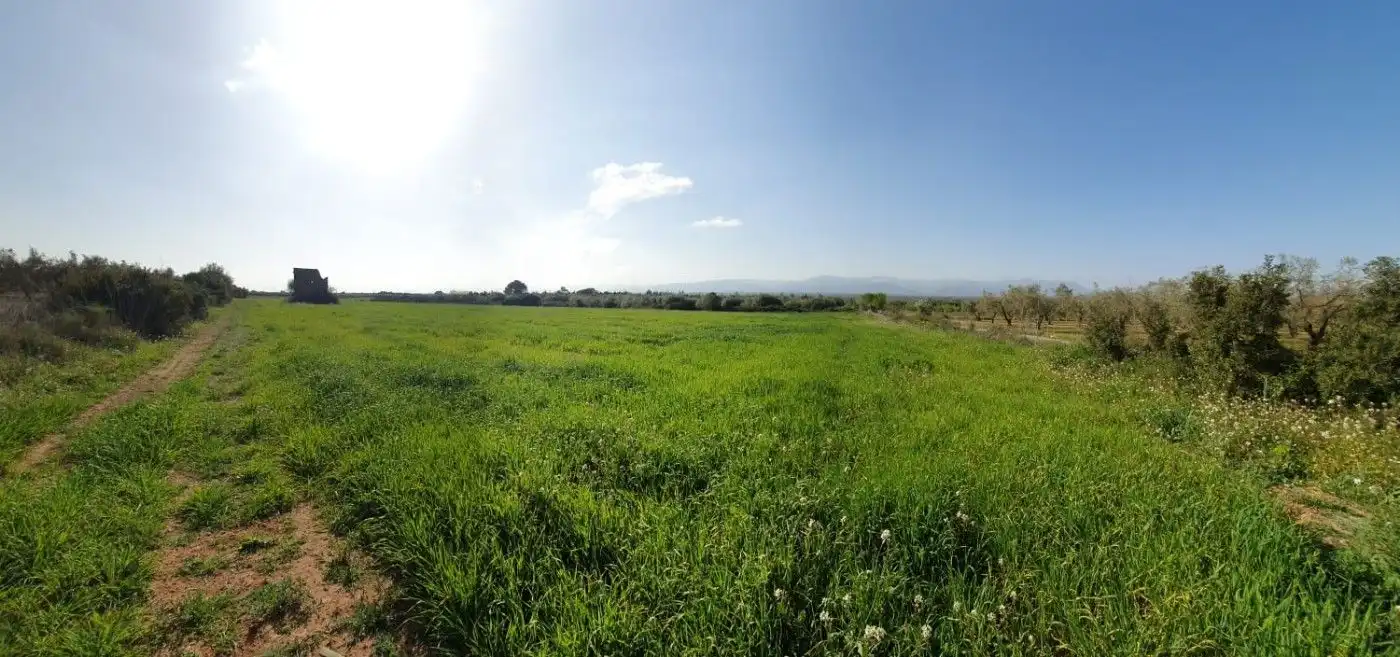 Rural land for sale in Godall, imagen 4