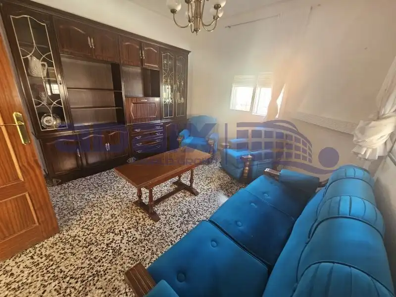 Sala d'estar de Casa o xalet en venda en Puertollano amb Terrassa i Traster