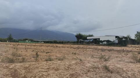 Terreno Rustico con uso agrario en Librilla, immagine 2