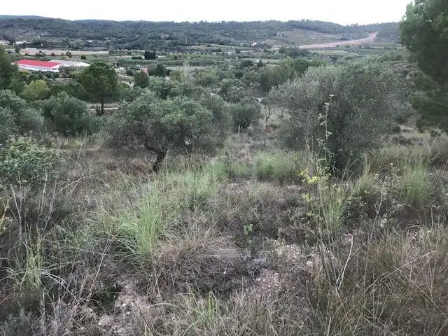 Terreny residencial en venda a Sant Pere de Riudebitlles