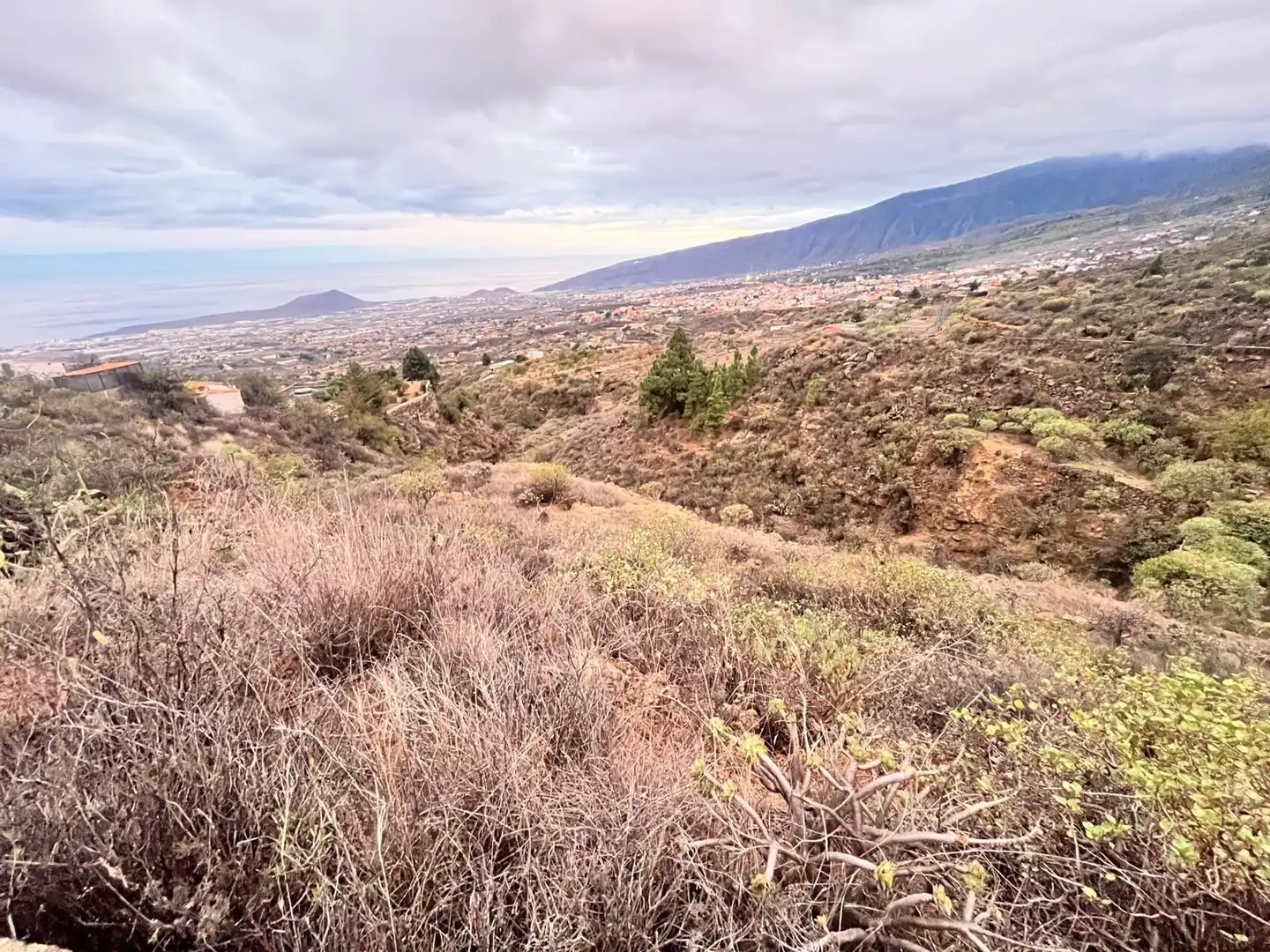 Rural land for sale in Camino Camino de los Barranquillos, imagen 3