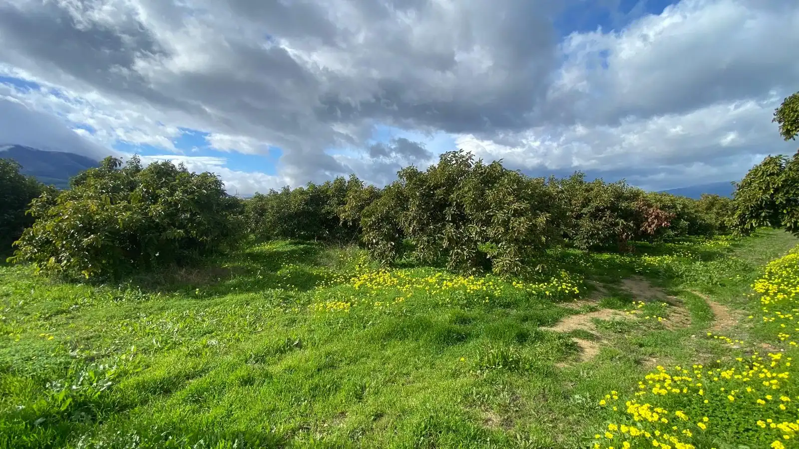 Terreno rustico in vendita a Alquería - Torrealquería