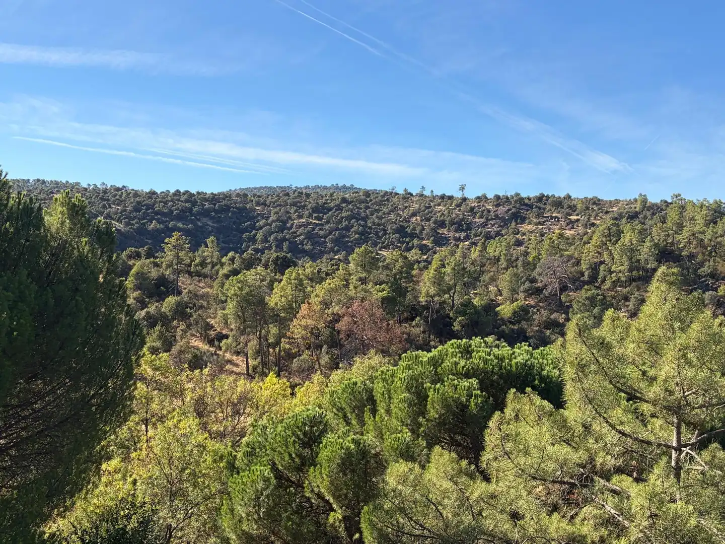 Villa mit Terrasse zum Verkauf in Valdemaqueda, imagen 36