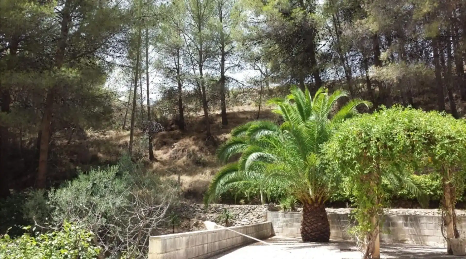 Jardí de Finca rústica en venda en Onil amb Piscina i Balcó