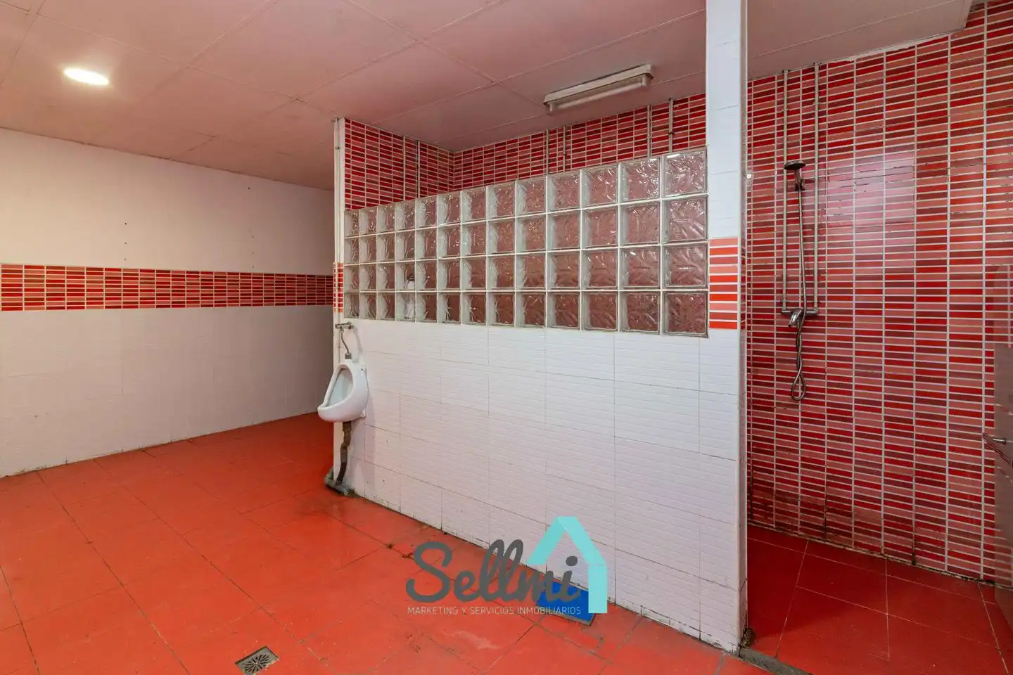 Business premises for sale in Teodoro Cuesta, imagen 24