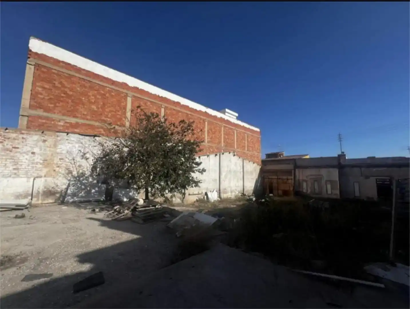 Vista exterior de Finca rústica en venta en Vila-real