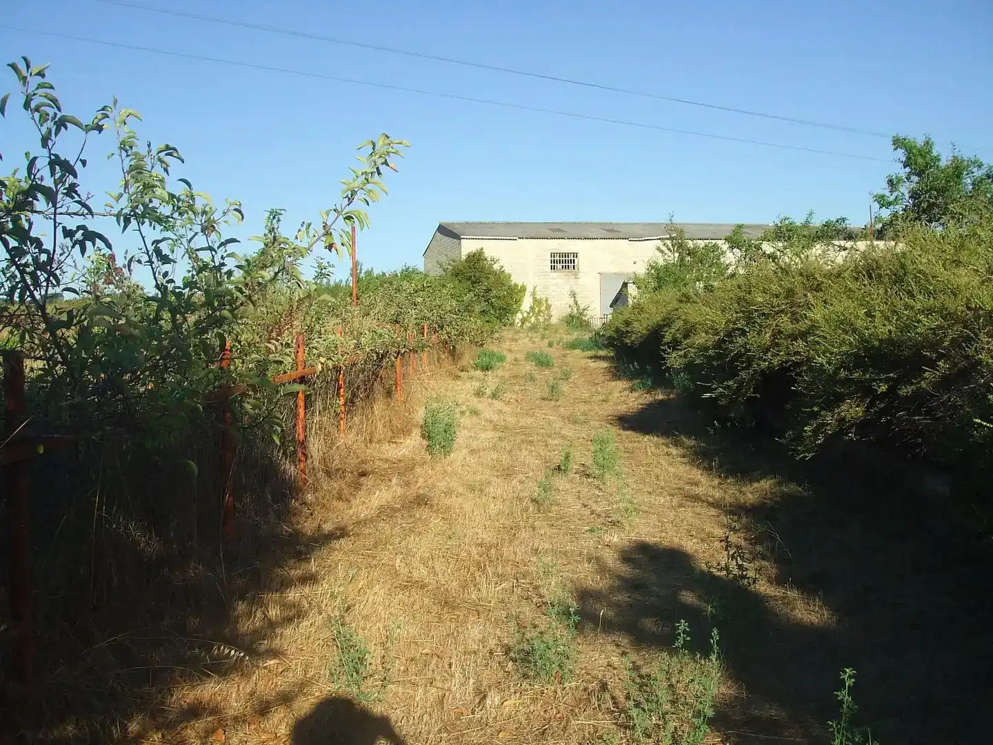 Finca rústica en venda en Merindad de Cuesta-Urria amb Jardí privat, Traster i Piscina
