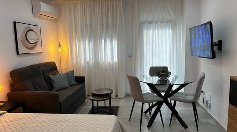 Foto 4 de Estudio de alquiler en Manantiales - Estación de Autobuses, Torremolinos