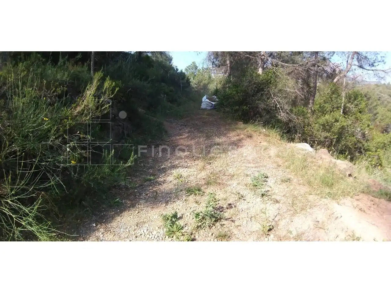 Terreny rústic en venda a Vacarisses, imagen 6