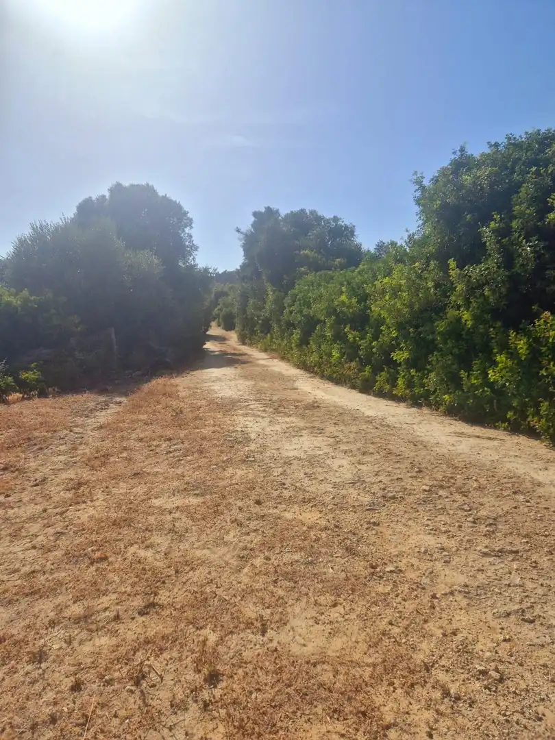 Terreni e lotti in vendita a Camino Polígono  Paraje  EL ABEJARUCO, imagen 11