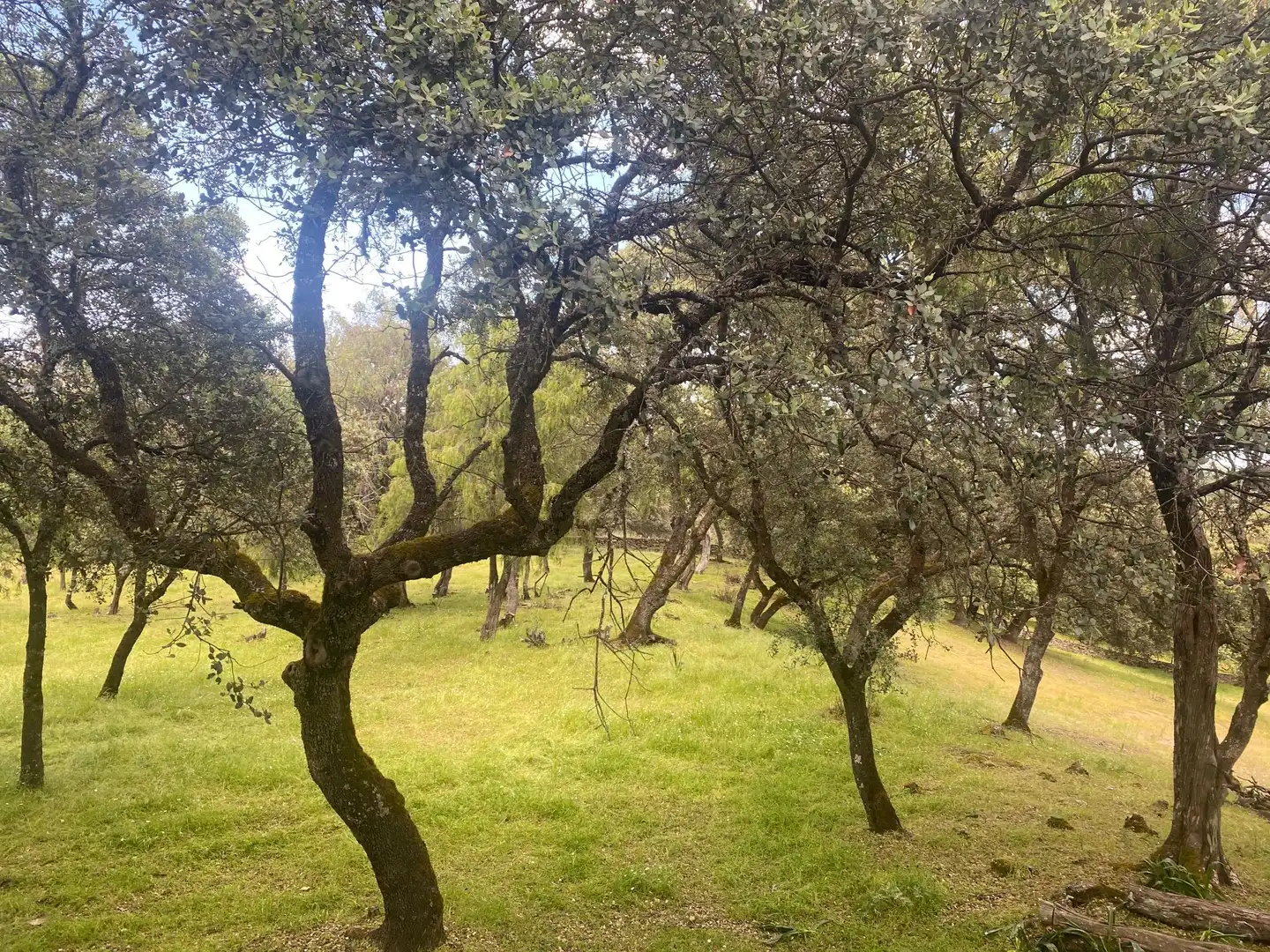 Finca rústica en venta en El Real de San Vicente con Aire acondicionado, Calefacción y Terraza