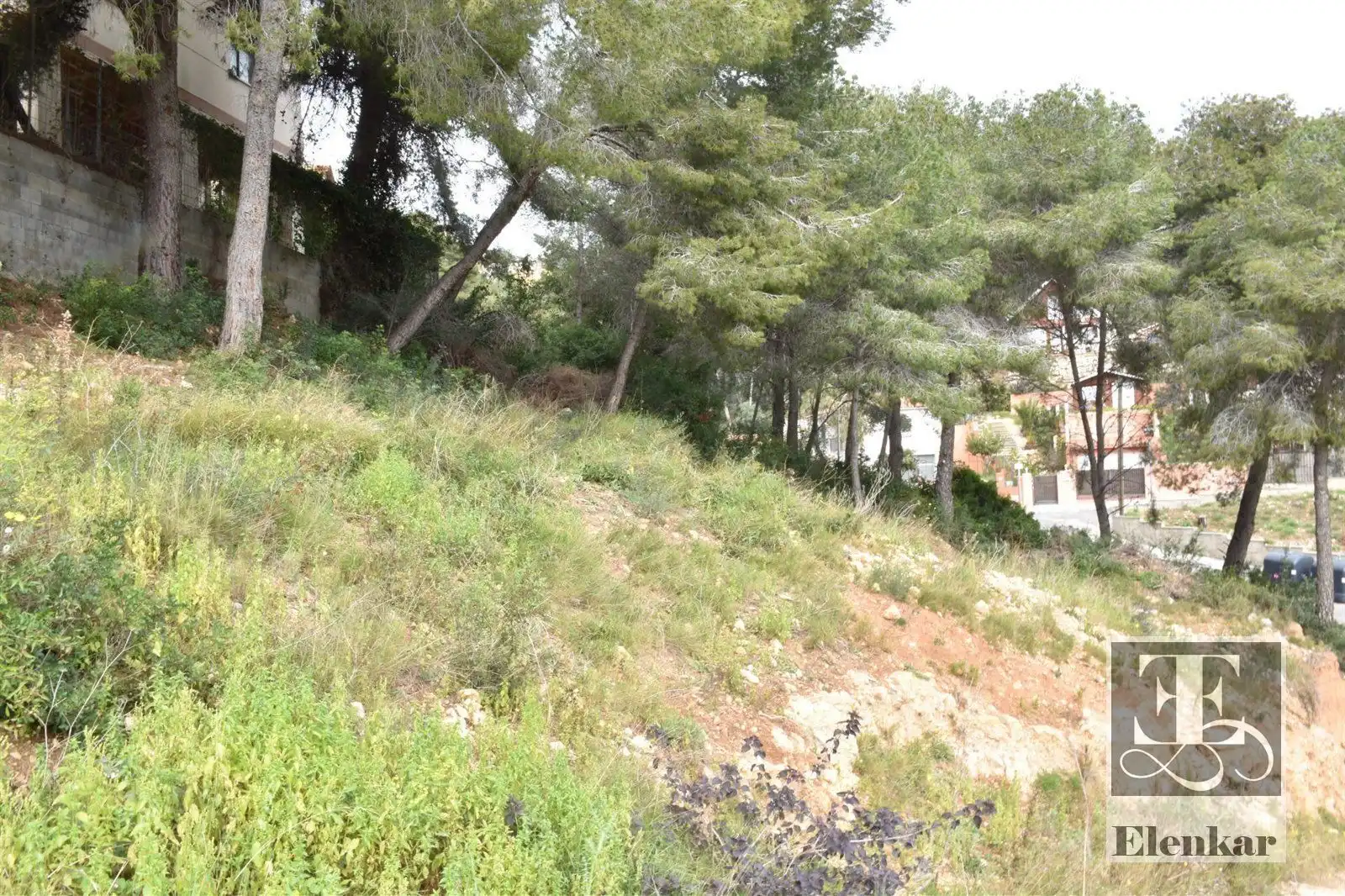 Rural land for sale in GLADIOL, imagen 3