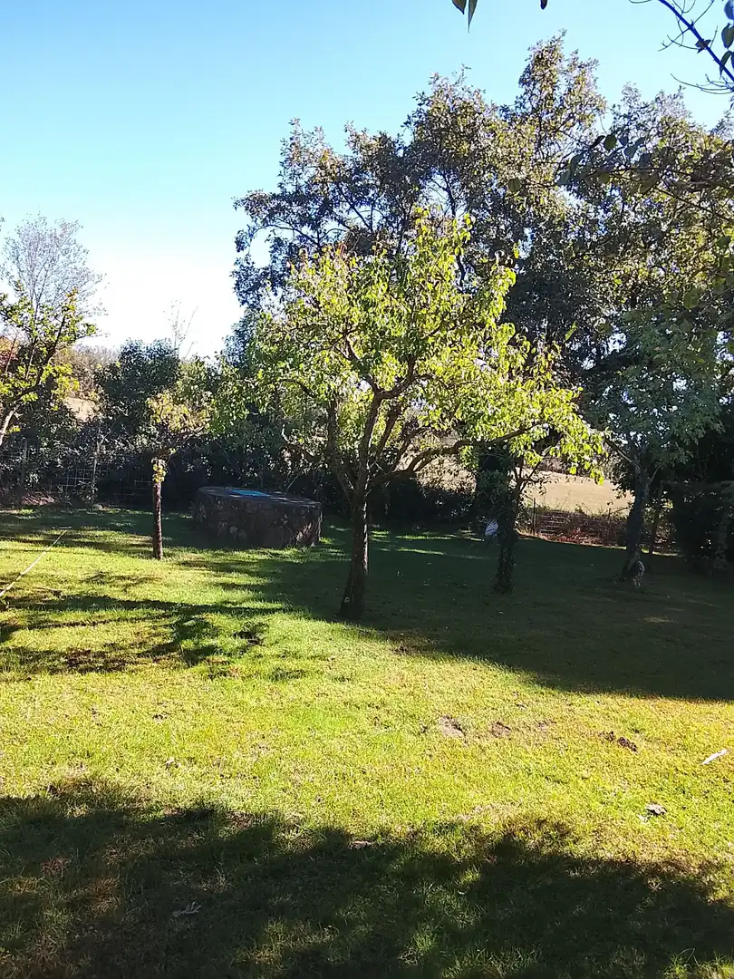 Haus mit Garten zum Verkauf in Madrigal de la Vera, imagen 114