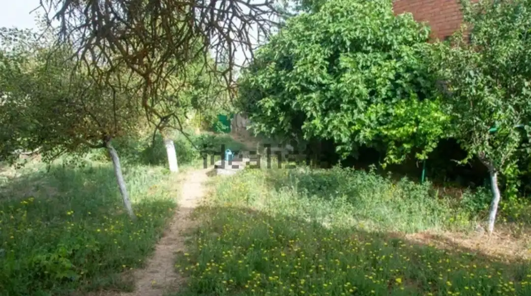 Casa amb jardí en venda a Zona Sur - Barrio Cortes, imagen 2