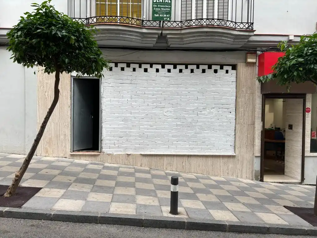 Business premises for sale in CANOVAS DEL CASTILLO, imagen 4
