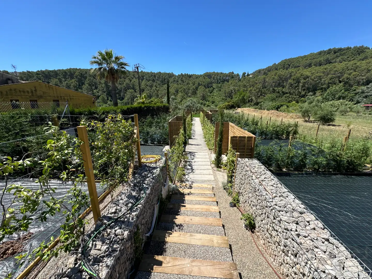 Àtic en venda a Avinguda de Catalunya, 55, La Palma de Cervelló