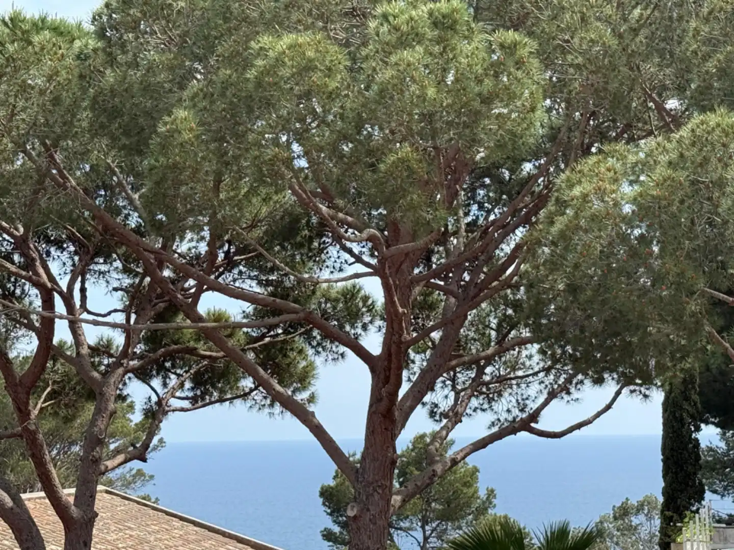 Jardín de Casa adosada en venta en Sant Feliu de Guíxols con Jardín privado, Terraza y Balcón