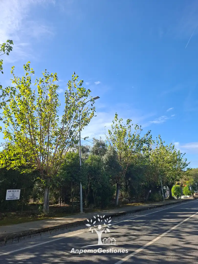 Vista exterior de Residencial en venta en La Puebla de los Infantes
