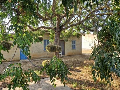 Vista exterior de Finca rústica en venda en Sineu amb Terrassa