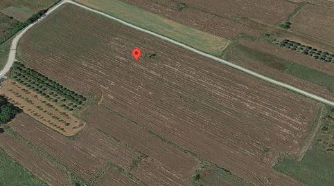 Terreno rustico de regadío de 35.548m con casa de campo para reformar de 25m en Partida Les Bassoles de Ulldecona Tarragona., immagine 4