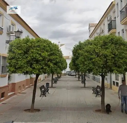 Piso con terraza en venta en Paseo PASEO DE LA PERDIZ