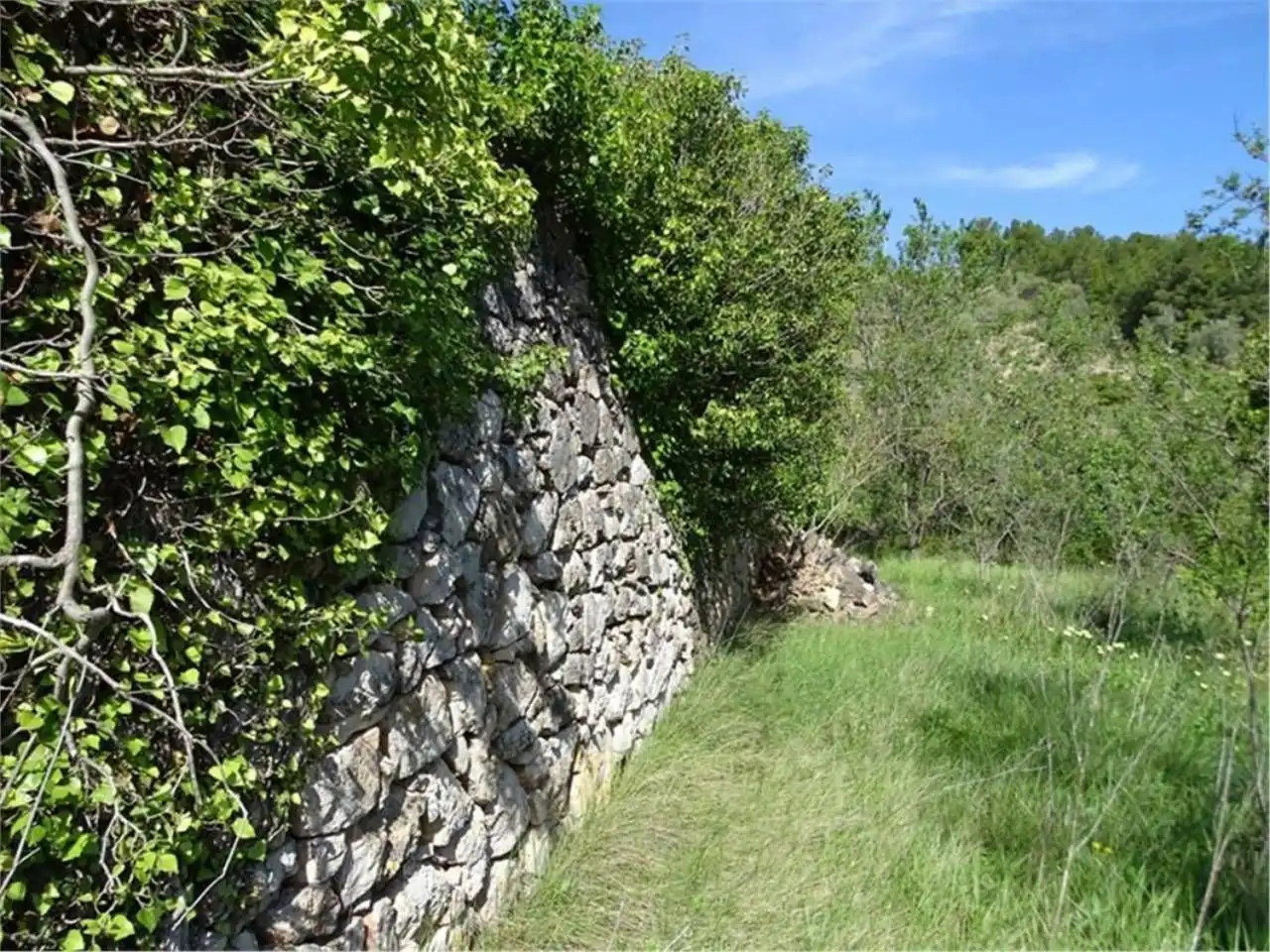 Wohnbaugrundstück zum Verkauf in Paüls, imagen 20