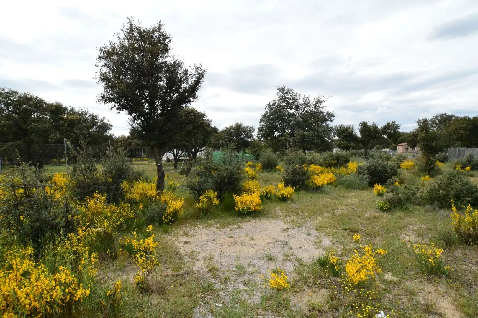Residential for sale in Maello