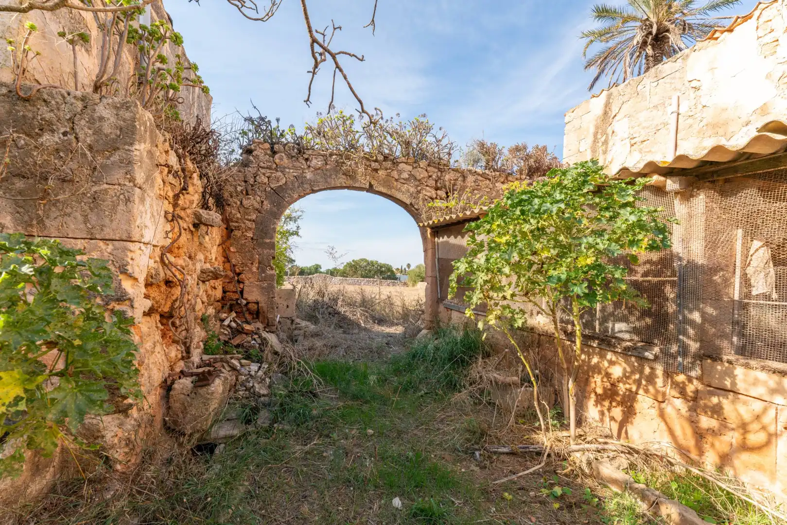 Casa rustica in vendita a Campos poble, imagen 10