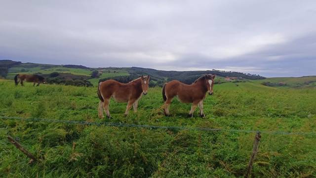 Terreno residencial en Venta en Ajo - San Pedruco en Ajo
