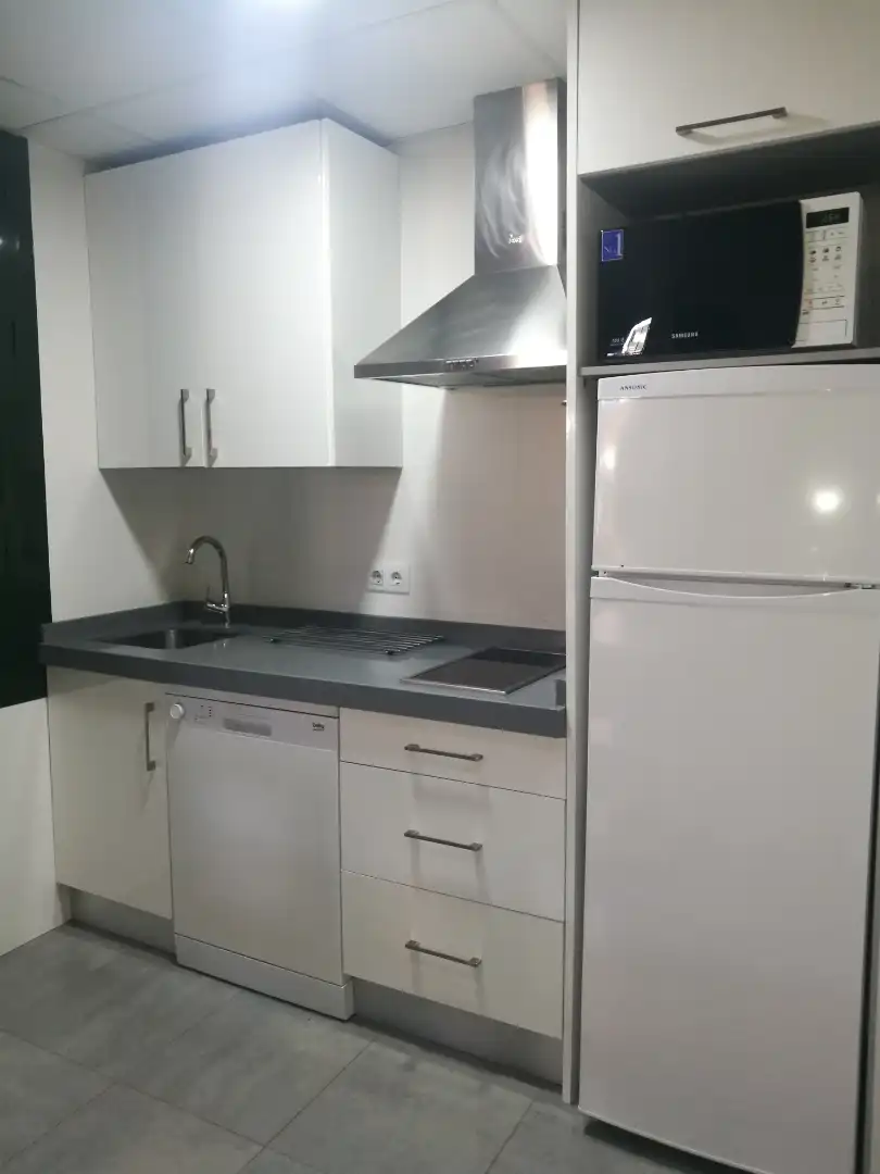Cuina de Apartament de lloguer en Sevilla amb Aire condicionat, Moblat i Rentadora