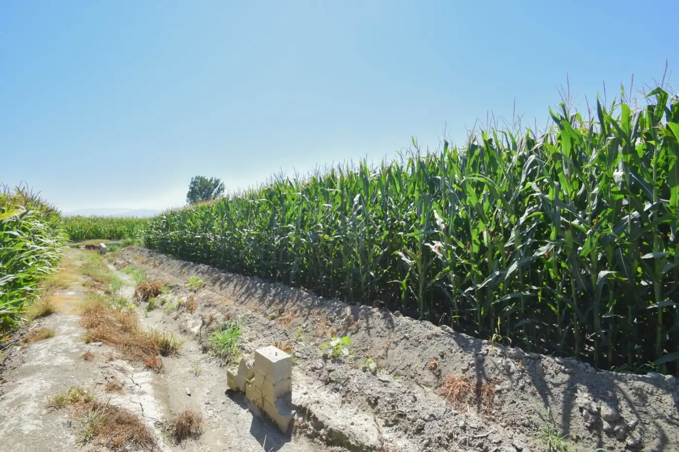 Rural land for sale in Calle PEREGRINA, imagen 9