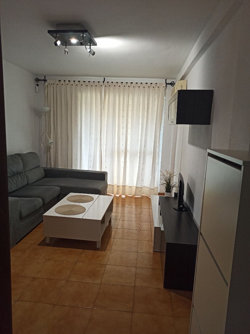 Living room of Flat for sale in Málaga Capital  with Air Conditioner, Terrace and Furnished
