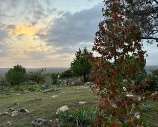 Jardí de Casa o xalet en venda en Torrelodones amb Calefacció, Jardí privat i Terrassa