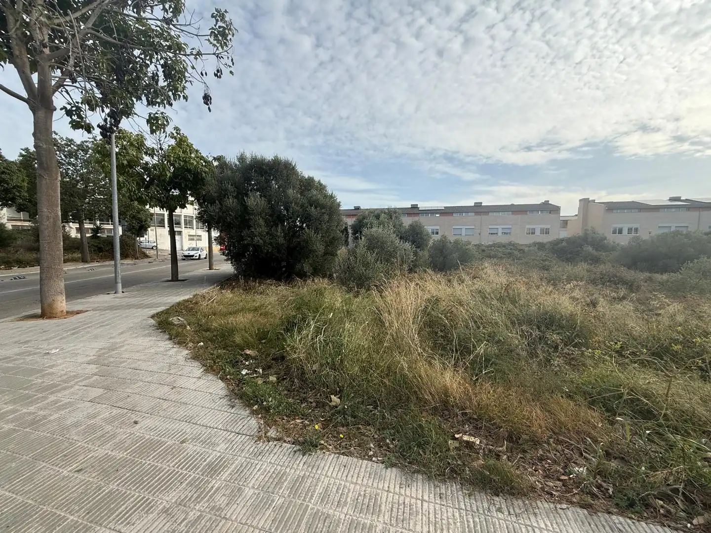 Terrain résidentiel à vendre à Carrer Josep Irla Bosch 46, imagen 8