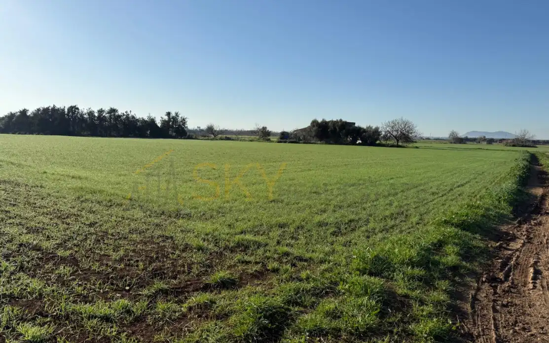 Maison rustique à vendre à Sa Pobla, imagen 9