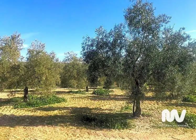 Terreni e lotti in vendita a Paraje de la Doctora