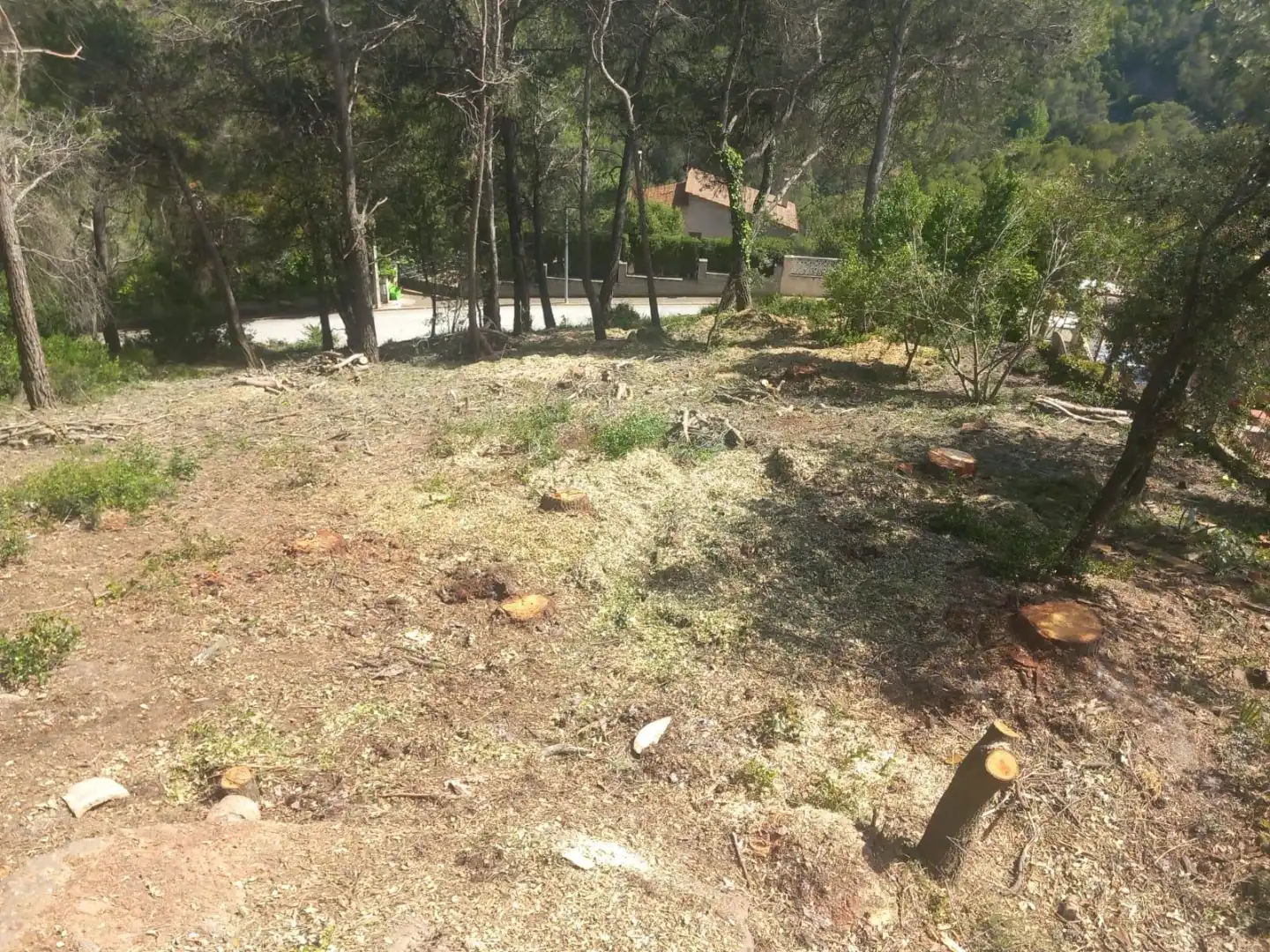 Terreny residencial en venda a Carrer Mont Perdut 8, imagen 6