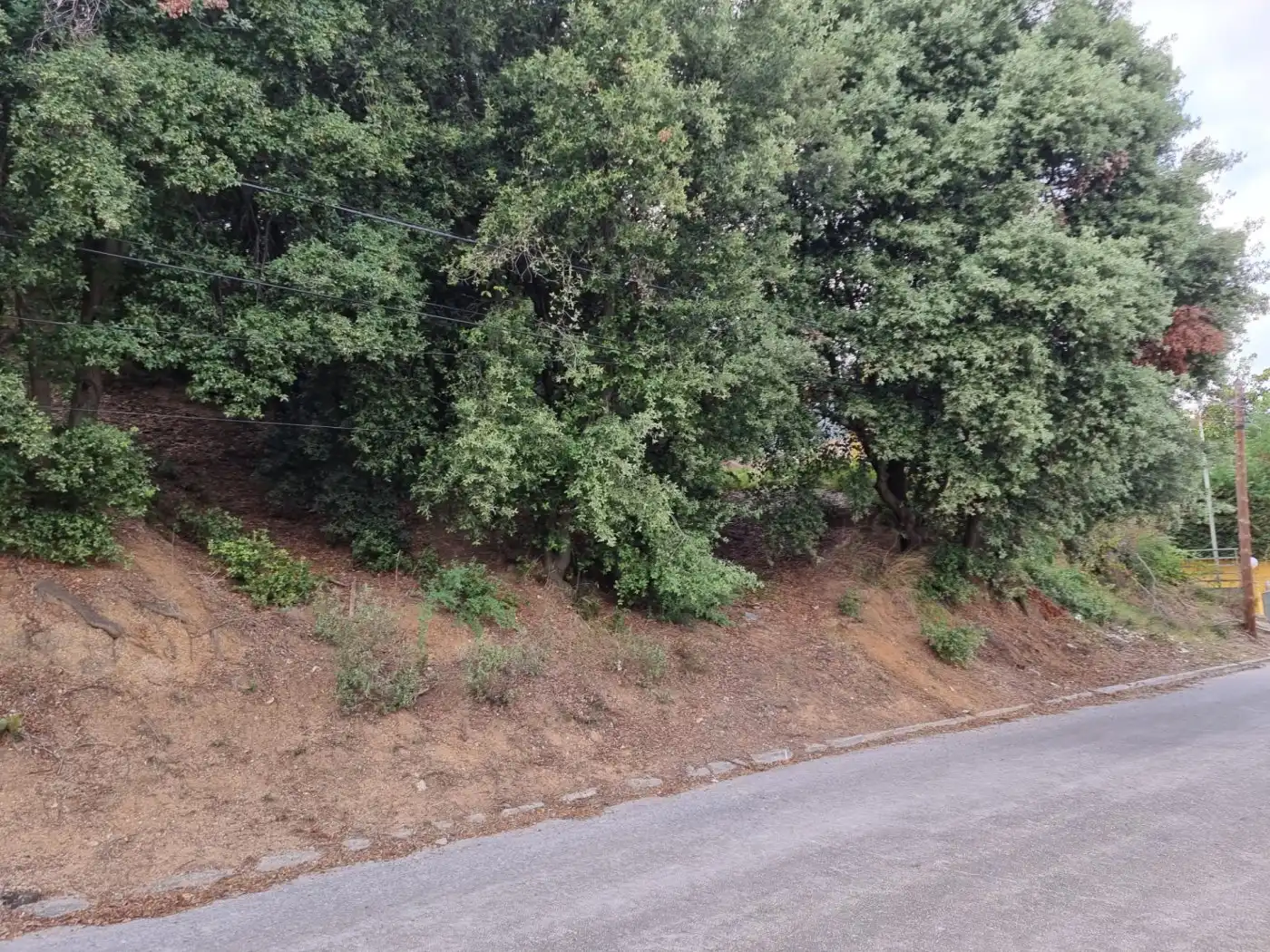 Lands and plots for sale in Calle MARGALLO, imagen 4