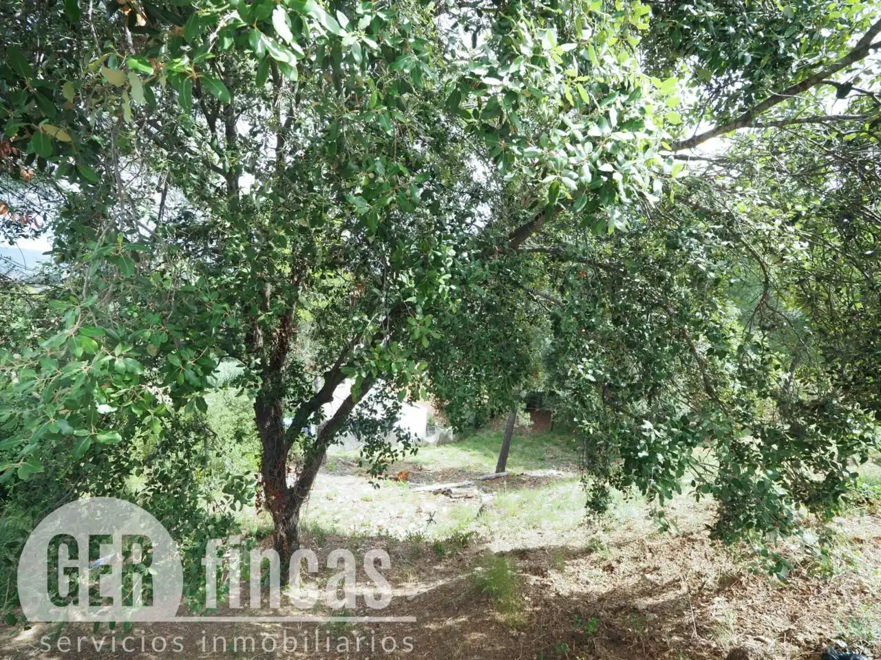 Terreno residencial en venta en Calle Falciot, imagen 4