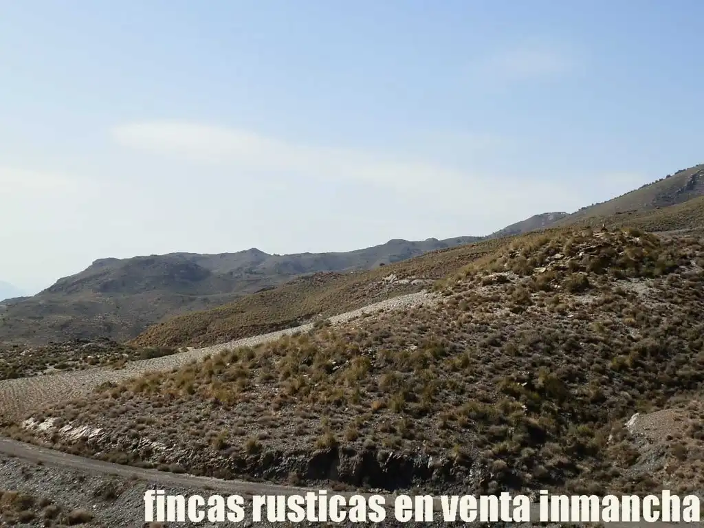 Terreny rústic en venda a Pechina, imagen 3