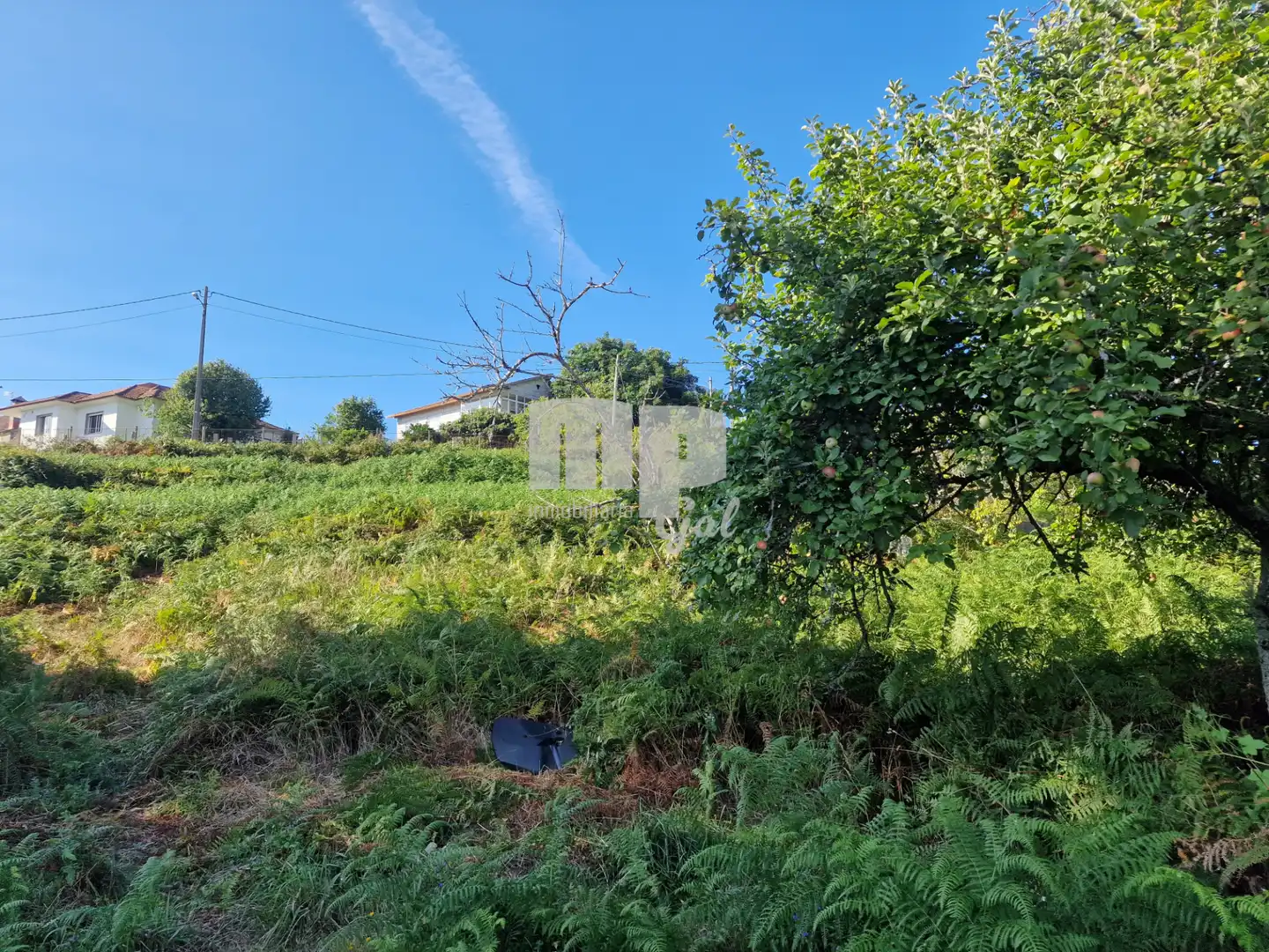 Grundstücke und Bauplätze zum Verkauf in Camiño de Reboreda, imagen 6