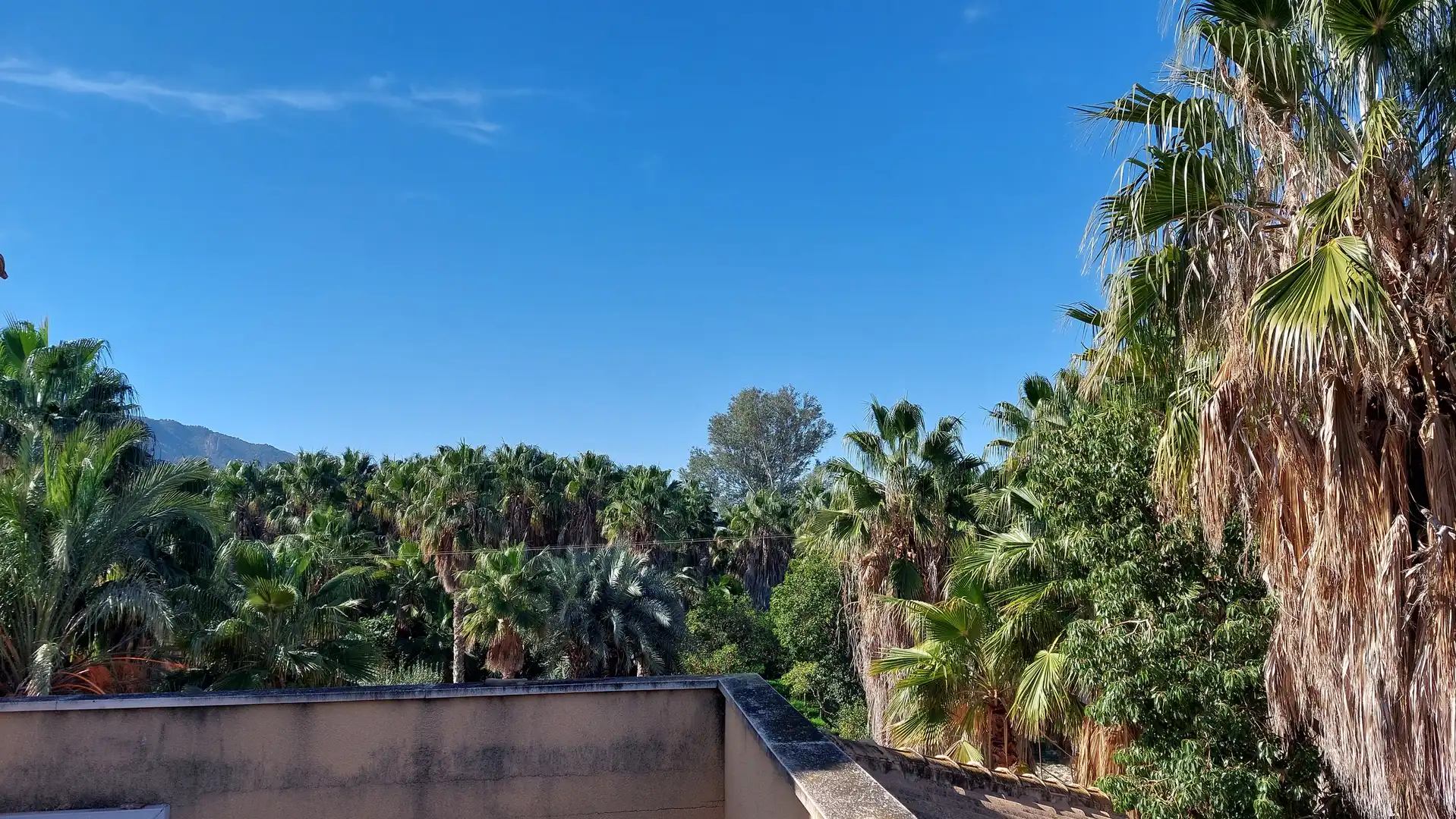 Vista exterior de Casa o xalet en venda en Murcia amb Aire condicionat, Calefacció i Terrassa
