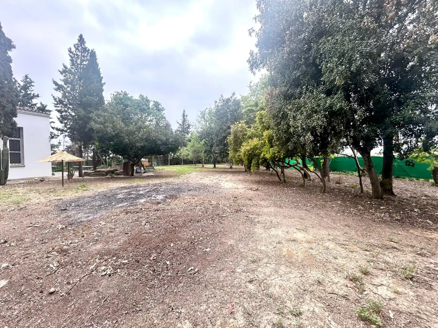 Country homes for sale in Caballero Bonald - San José Obrero - Guadalcacín