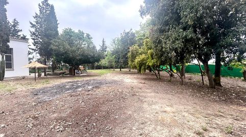 Foto 4 von Country house zum Verkauf in Caballero Bonald - San José Obrero - Guadalcacín, Jerez de la Frontera