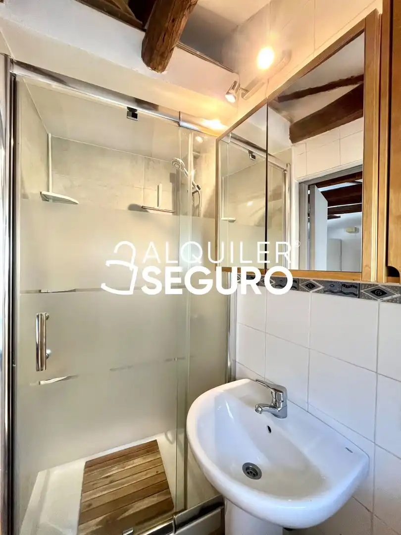 Estudio con ascensor en alquiler en de Zurita, imagen 13
