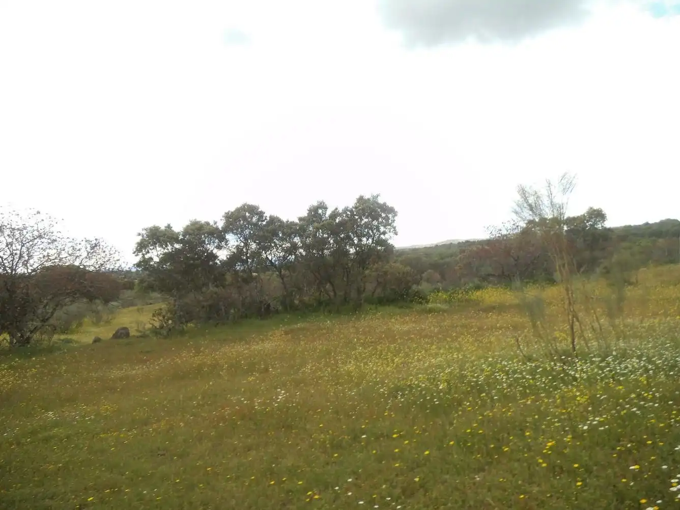 Residencial en venda en Valdemorillo