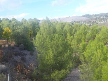 Haus mit Garten zum Verkauf in Puerto Lumbreras