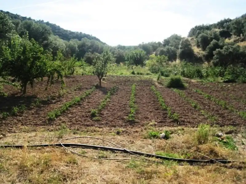 Terreni e lotti in vendita a Navas de San Juan, imagen 6