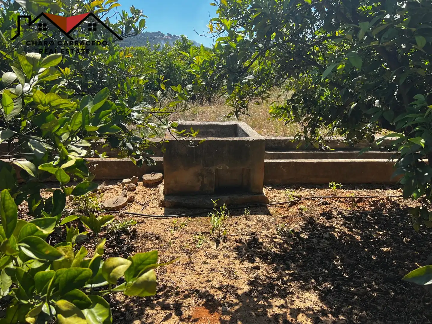 Terreno rústico en venta en Camí de la Murta-Ombria, imagen 8